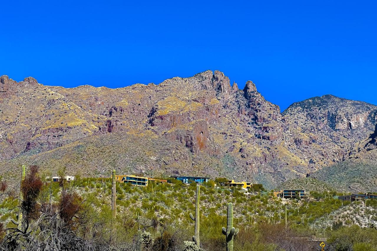 Lizard Rock Villa Tucson Exterior photo